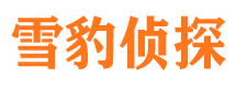 龙川市私家侦探